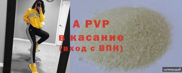 СК Вязьма