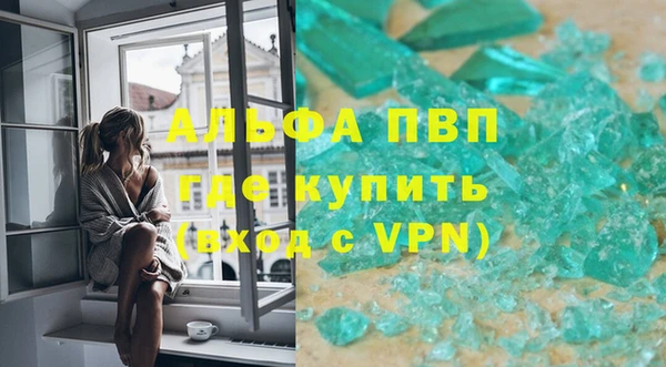 СК Вязьма