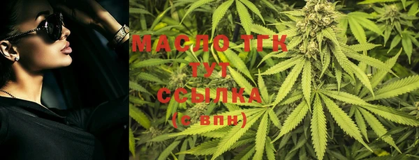 СК Вязьма