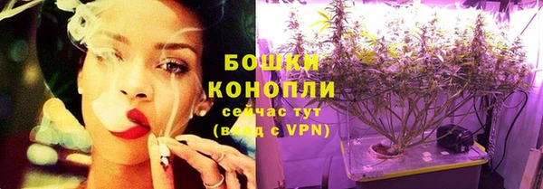 СК Вязьма