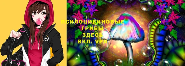 марки lsd Вяземский