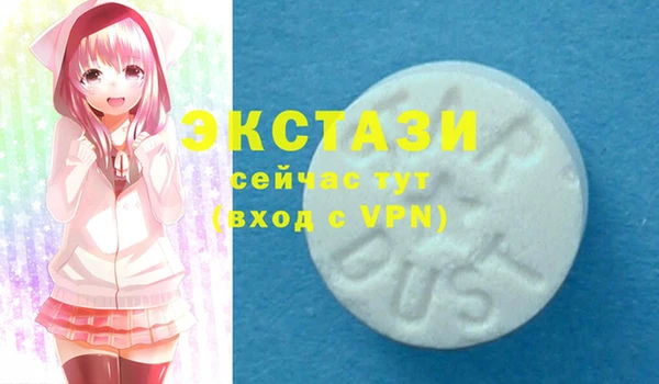 СК Вязьма