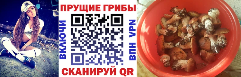 Галлюциногенные грибы мицелий  наркота  Черняховск 